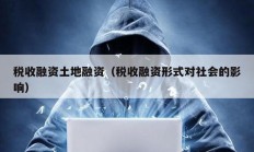 稅收融資土地融資（稅收融資形式對社會的影響）