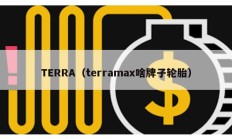 TERRA（terramax啥牌子輪胎）