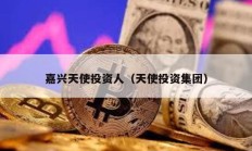 嘉興天使投資人（天使投資集團）