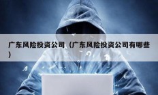 廣東風險投資公司（廣東風險投資公司有哪些）