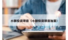 小額投資項目（小額投資項目加盟）
