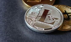 萊特幣價格預測,萊特幣2024能漲到多少呢