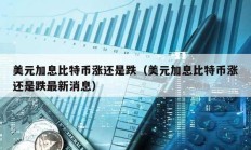 美元加息比特幣漲還是跌（美元加息比特幣漲還是跌最新消息）