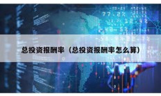 總投資報(bào)酬率（總投資報(bào)酬率怎么算）