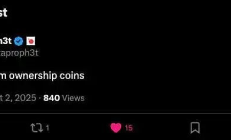 “我們稱之為所有權(quán)幣”：DAO治理創(chuàng)新