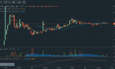 bcc上線價(jià)格,bcd幣今日行情