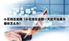 小花錢包逾期（小花錢包逾期一天就開始暴力催收怎么辦）