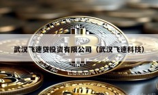 武漢飛速貸投資有限公司（武漢飛速科技）