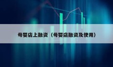 母嬰店上融資（母嬰店融資及使用）