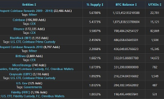 比特幣是什么？全球頂級比特幣巨鯨TOP10