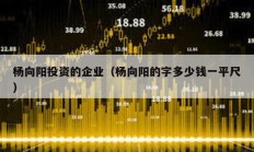 楊向陽投資的企業(yè)（楊向陽的字多少錢一平尺）