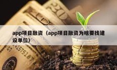 app項目融資（app項目融資為啥要找建設單位）