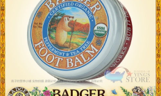 badger今日價格,badger幣2024年最新消息