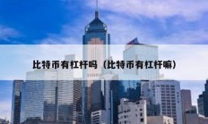 比特幣有杠桿嗎（比特幣有杠桿嘛）