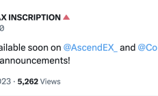 除了ASCT，Avalanche上還有哪些值得關(guān)注的銘文項目？