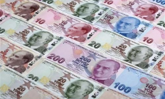 ETV幣價(jià)格,雙旗幣價(jià)格表