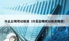 什么公司可以投資（什么公司可以投資期貨）