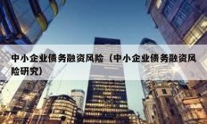 中小企業債務融資風險（中小企業債務融資風險研究）