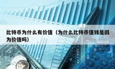 比特幣為什么有價值（為什么比特幣值錢是因為價值嗎）