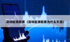 深圳能源股票（深圳能源股票為什么不漲）