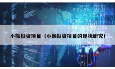 小額投資項目（小額投資項目的現狀研究）