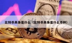 比特幣具體是什么（比特幣具體是什么幣種）