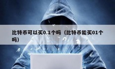 比特幣可以買0.1個嗎（比特幣能買01個嗎）