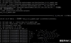 swarm錢包,pay錢包