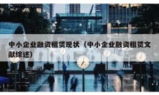 中小企業融資租賃現狀（中小企業融資租賃文獻綜述）
