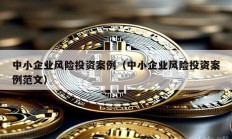 中小企業風險投資案例（中小企業風險投資案例范文）