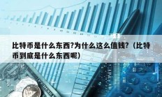 比特幣是什么東西?為什么這么值錢?（比特幣到底是什么東西呢）