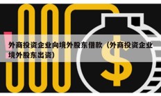外商投資企業(yè)向境外股東借款（外商投資企業(yè)境外股東出資）
