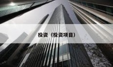 投資（投資項(xiàng)目）