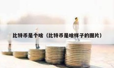 比特幣是個(gè)啥（比特幣是啥樣子的圖片）