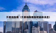 萬里揚(yáng)股票（萬里揚(yáng)股票股吧最新消息）