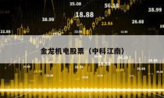 金龍機(jī)電股票（中科江南）