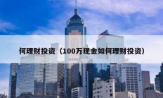 何理財(cái)投資（100萬現(xiàn)金如何理財(cái)投資）