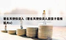 著名天使投資人（著名天使投資人薛蠻子是搜狐大v）