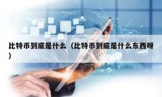 比特幣到底是什么（比特幣到底是什么東西呀）