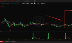 瑞波幣價格走勢圖,bch比特現金已經無人認可