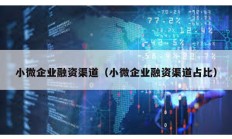 小微企業融資渠道（小微企業融資渠道占比）