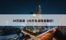 30萬投資（30萬投資項目最好）