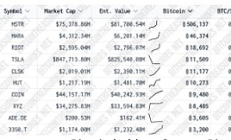 觀點：2030年或有四分之一標普500公司持有BTC