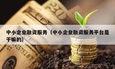 中小企業融資服務（中小企業融資服務平臺是干嘛的）