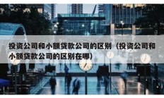投資公司和小額貸款公司的區別（投資公司和小額貸款公司的區別在哪）