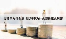 比特幣為什么漲（比特幣為什么漲價這么厲害）