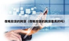 夜晚放貸的網(wǎng)貸（夜晚放貸的網(wǎng)貸是真的嗎）