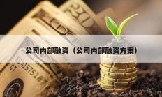 公司內部融資（公司內部融資方案）