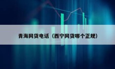 青海網(wǎng)貸電話（西寧網(wǎng)貸哪個(gè)正規(guī)）