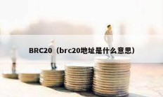 BRC20（brc20地址是什么意思）